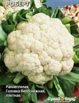 Капуста цветная Роберт