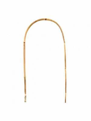 Бамбук U-образный 75см (D8-10) в интернет гипермаркете «Планета Лета». Фото