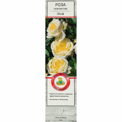 Роза плетистая Эльф 23 М в интернет гипермаркете «Планета Лета». Фото