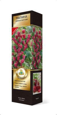 Малина ремонтантные сорта Рубиновое Ожерелье/ЦКорЛюкс в интернет гипермаркете «Планета Лета». Фото
