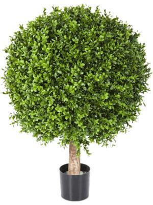 Самшит Шар уличный новый в-65, д-50х40 см 2/2 10.44550N TREEZ Collection в интернет гипермаркете «Планета Лета». Фото Самшит Шар уличный новый в-65, д-50х40 см 2/2 10.44550N в интернет гипермаркете «Планета Лета». Фото