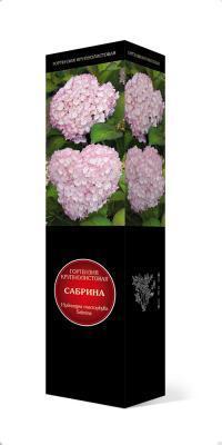 Гортензия крупнолистовая Сабрина/ЦКорЛюкс в интернет гипермаркете «Планета Лета». Фото