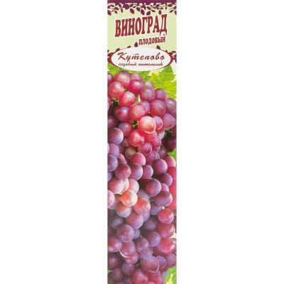 Виноград плодовый Дубовский розовый/ЦКор П в интернет гипермаркете «Планета Лета». Фото