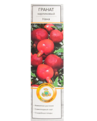 Гранат Ак Дона С2 H40 в интернет гипермаркете «Планета Лета». Фото