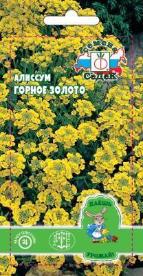 Алиссум Горное золото жёлтый 0,1 гр в интернет гипермаркете «Планета Лета». Фото