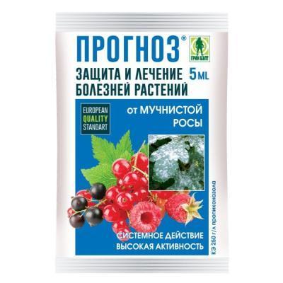 ПРОГНОЗ амп 5мл в интернет гипермаркете «Планета Лета». Фото