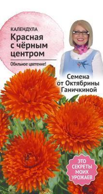 Календула Красная с черным центром 0,3гр Ганичкина в интернет гипермаркете «Планета Лета». Фото