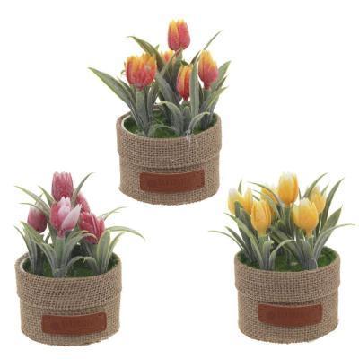 Цветочная композиция "Тюльпаны", L8,5 W8,5 H14 см, в интернет гипермаркете «Планета Лета». Фото