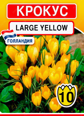 BES Крокус Large Yellow (x10) в интернет гипермаркете «Планета Лета». Фото