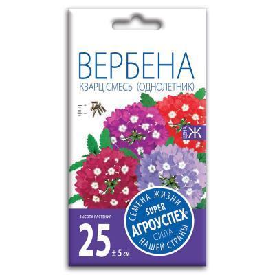 Вербена Кварц смесь 7 шт в интернет гипермаркете «Планета Лета». Фото