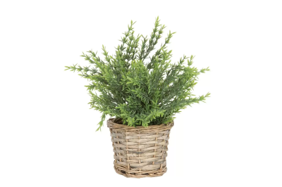 Цветы искуственные в горшке листвен 2 см 317002290 317002790 в интернет гипермаркете «Планета Лета». Фото