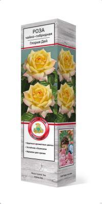 Роза чайно-гибридная Папилон/ЦКор П в интернет гипермаркете «Планета Лета». Фото