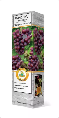 Виноград плодовый Подарок Несветая/ЦКор П в интернет гипермаркете «Планета Лета». Фото