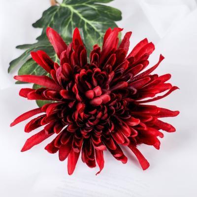 Цветы искусственные "Астра пионовидная" 17х63 см, бордовый 4642691 в интернет гипермаркете «Планета Лета». Фото