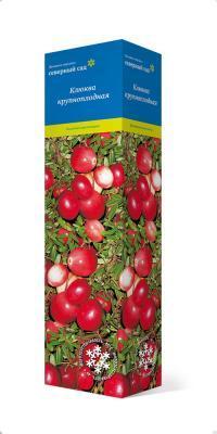 Клюква крупноплодная Франклин П в интернет гипермаркете «Планета Лета». Фото