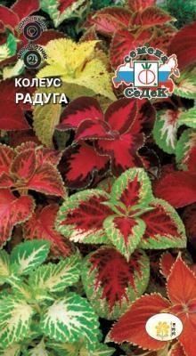 Колеус Радуга Евро, 0,03 в интернет гипермаркете «Планета Лета». Фото