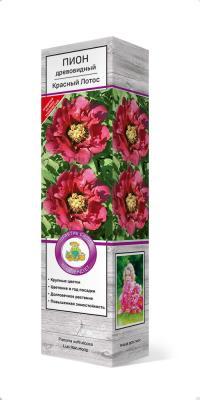 Пион древовидный Красный Лотос П в интернет гипермаркете «Планета Лета». Фото