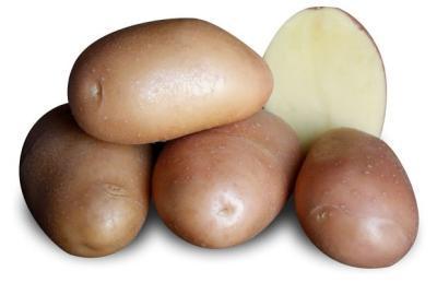 Картофель семенной Ажур 2кг