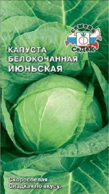 Капуста белокач Июньская в интернет гипермаркете «Планета Лета». Фото
