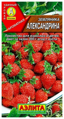 Земляника Александрина 0,04 гр в интернет гипермаркете «Планета Лета». Фото