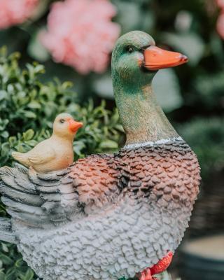 Фигура Селезень с птенцом Н-31 см F821 Планета Лета в интернет гипермаркете «Планета Лета». Фото Фигура Селезень с птенцом Н-31 см F821 в интернет гипермаркете «Планета Лета». Фото