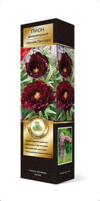 Пион древовидный Черная Пантера П в интернет гипермаркете «Планета Лета». Фото