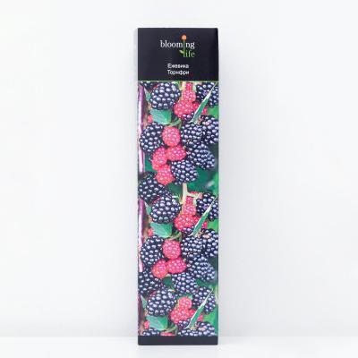 Ежевика Торнфри 7Ц в интернет гипермаркете «Планета Лета». Фото