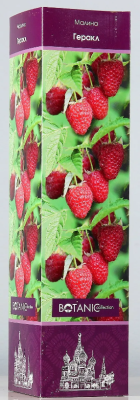Малина Садовая Геракл (туба) в интернет гипермаркете «Планета Лета». Фото