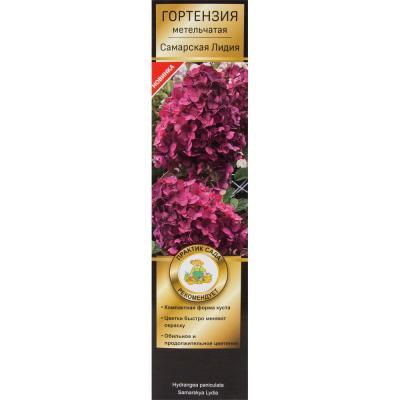 Гортензия метельчатая Самарская Лидия/ЦКорЛюкс в интернет гипермаркете «Планета Лета». Фото