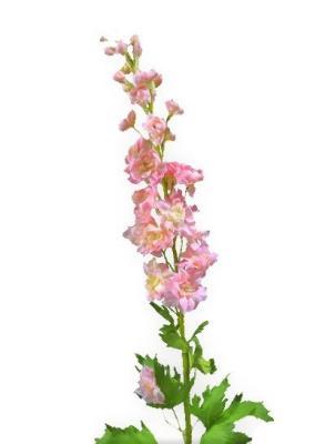 Дельфиниум розовый 100 см 6/36 в интернет гипермаркете «Планета Лета». Фото