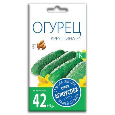 Огурец Криспина F1 7 шт в интернет гипермаркете «Планета Лета». Фото