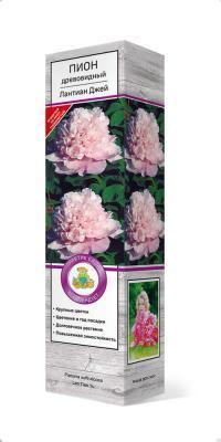 Пион древовидный Лантиан Джей/ЦКор в интернет гипермаркете «Планета Лета». Фото