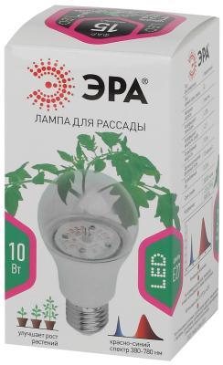 Фито лампа ЭРА FITO-10W-RB-E27-K цоколь E27 в интернет гипермаркете «Планета Лета». Фото