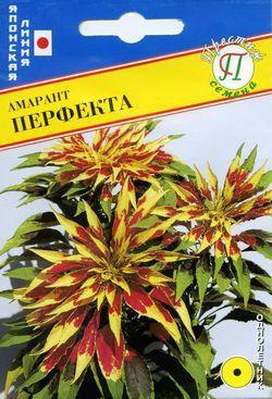 Амарант Перфекта в интернет гипермаркете «Планета Лета». Фото