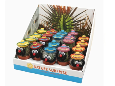 Кактус Mix X 20 Mexicaanse Mannetje, Гор5, Выс12 в интернет гипермаркете «Планета Лета». Фото