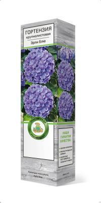 Гортензия крупнолистовая Эрли Блю/ЦКор в интернет гипермаркете «Планета Лета». Фото