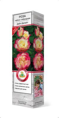 Роза чайно-гибридная Дабл Делайт П в интернет гипермаркете «Планета Лета». Фото