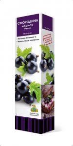 Смородина черная традиционные сорта Ленинградский великан/ЦКор в интернет гипермаркете «Планета Лета». Фото