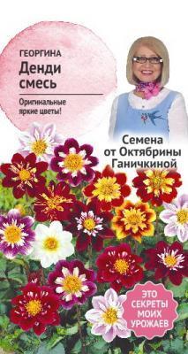 Георгина Денди смесь 0,2 гр Ганичкина в интернет гипермаркете «Планета Лета». Фото