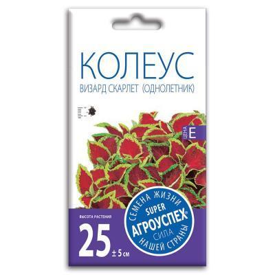 Колеус Визард Скарлет 10 шт в интернет гипермаркете «Планета Лета». Фото