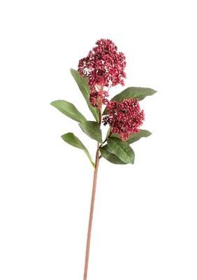 Скимия ветка бордо в-64 см (Real Touch) 30.11170004BU в интернет гипермаркете «Планета Лета». Фото