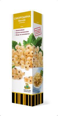 Смородина белая (традиционные сорта) Беляна П в интернет гипермаркете «Планета Лета». Фото