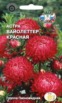 Астра Вайолеттер красная пионовидная в интернет гипермаркете «Планета Лета». Фото