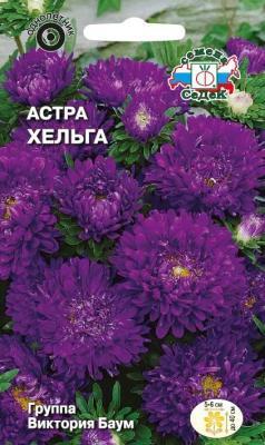 Астра Хельга Виктория Баум, темно синяя в интернет гипермаркете «Планета Лета». Фото