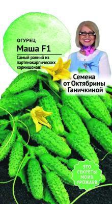 Огурец Маша F1 8шт Ганичкина в интернет гипермаркете «Планета Лета». Фото