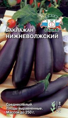 Баклажан Нижневолжский в интернет гипермаркете «Планета Лета». Фото