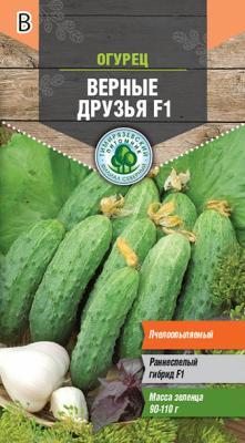 Огурец Верные друзья пчел. F1 10шт Tim в интернет гипермаркете «Планета Лета». Фото