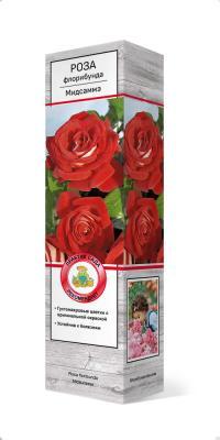 Роза флорибунда Мидсаммэ П в интернет гипермаркете «Планета Лета». Фото