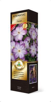 Клематис ботанический Пенил/ЦКорЛюкс Планета Лета в интернет гипермаркете «Планета Лета». Фото Клематис ботанический Пенил/ЦКорЛюкс в интернет гипермаркете «Планета Лета». Фото