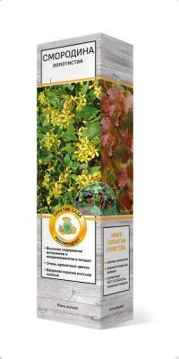 Смородина золотистая Сибирское солнышко П в интернет гипермаркете «Планета Лета». Фото